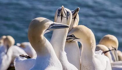 三明伴游，定制QQ：3494206190微信：act1322